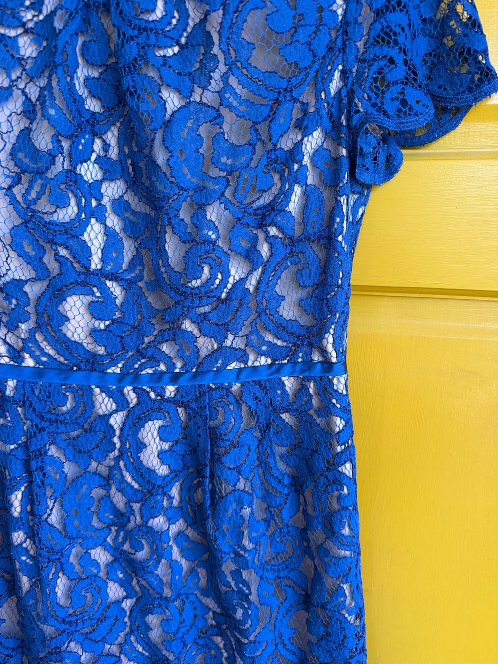 Adrianna Papell Blue Floral Lace Fit & Flare Lined Zip Round Neck Size small - Picture 4 of 13